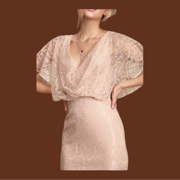 LULU'S SZ XL Bliss Delight Blush Pink Lace Flutter Sleeve Maxi Dress - Picture 3 of 9